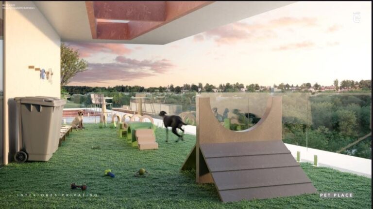 WhatsApp Image 2025-12-12 at 20.42.19